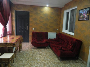 Гостиница Guest House Nua  Борджоми